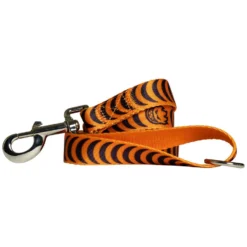 Spitfire Bighead Crescent Dog Lead Orange